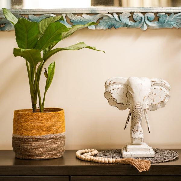 #WhiteGaneshaOnStand