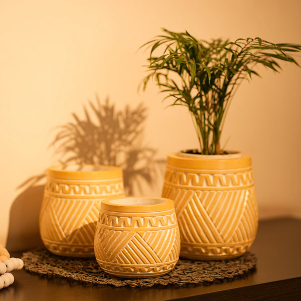 TIMBER KALA'S HANDCRAFTED POT SET FOR DECOR