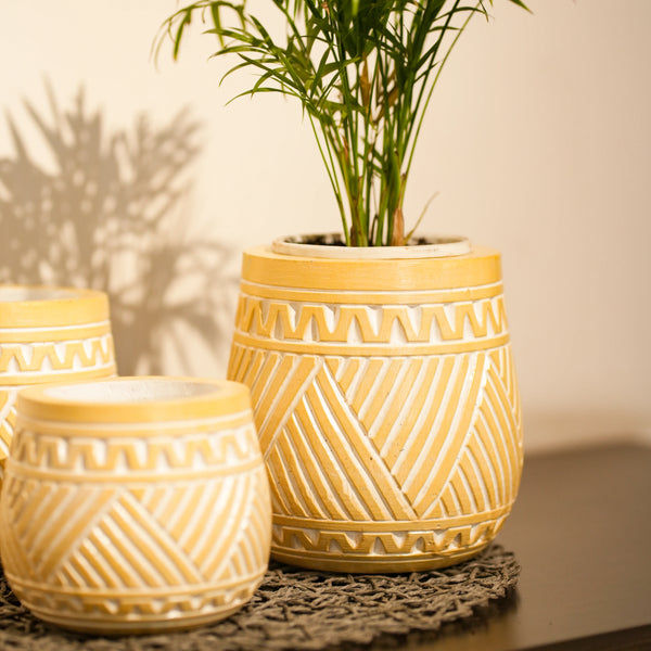 TIMBER KALA'S HANDCRAFTED POT SET FOR DECOR