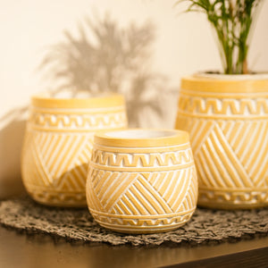 TIMBER KALA'S HANDCRAFTED POT SET FOR DECOR