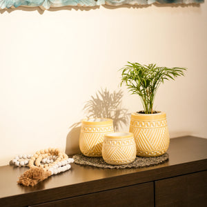 TIMBER KALA'S HANDCRAFTED POT SET FOR DECOR