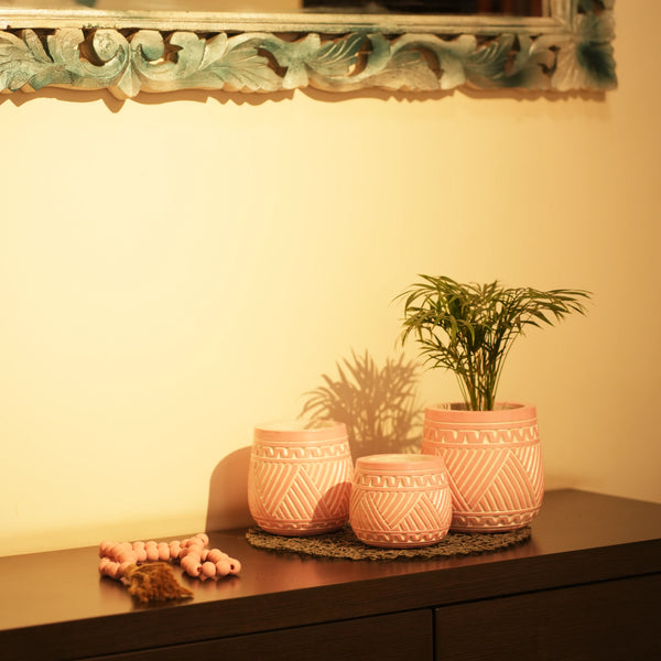 TIMBER KALA'S HANDCRAFTED POT SET FOR DECOR
