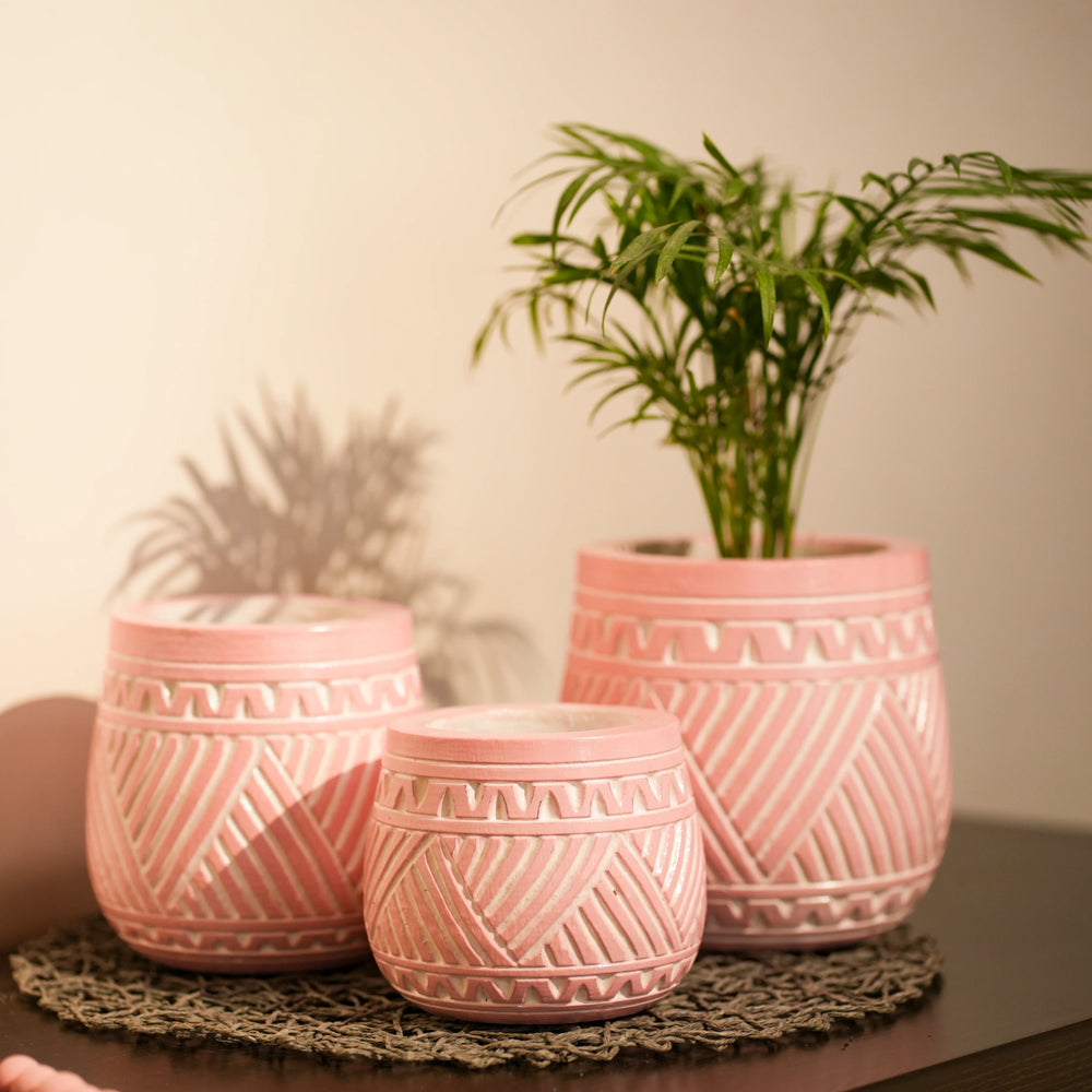 TIMBER KALA'S HANDCRAFTED POT SET FOR DECOR