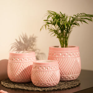 TIMBER KALA'S HANDCRAFTED POT SET FOR DECOR
