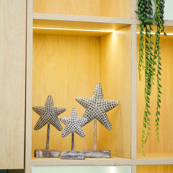 #BrownStarfishSetOfThree