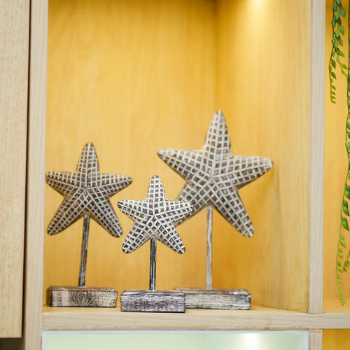 #BrownStarfishSetOfThree