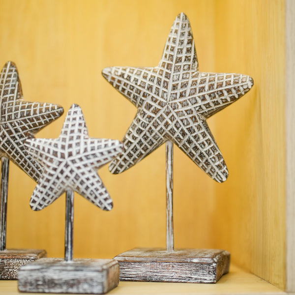 #BrownStarfishSetOfThree