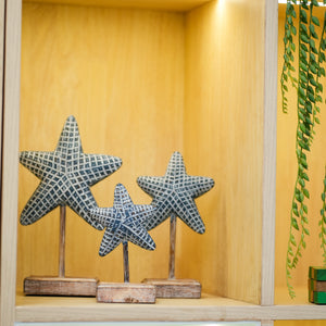 #BlueStarfishsetOfThree