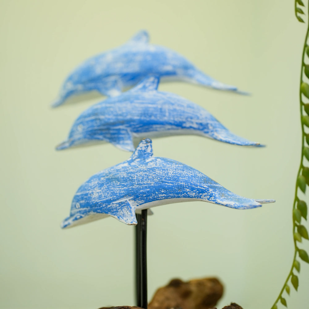 TIMBER KALA'S DRIFTWOOD DOLPHINS POD FOR DECOR
