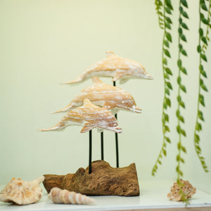 TIMBER KALA'S DRIFTWOOD DOLPHINS POD FOR DECOR