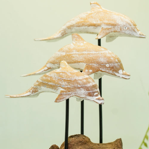 TIMBER KALA'S DRIFTWOOD DOLPHINS POD FOR DECOR