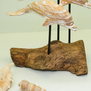 TIMBER KALA'S DRIFTWOOD DOLPHINS POD FOR DECOR