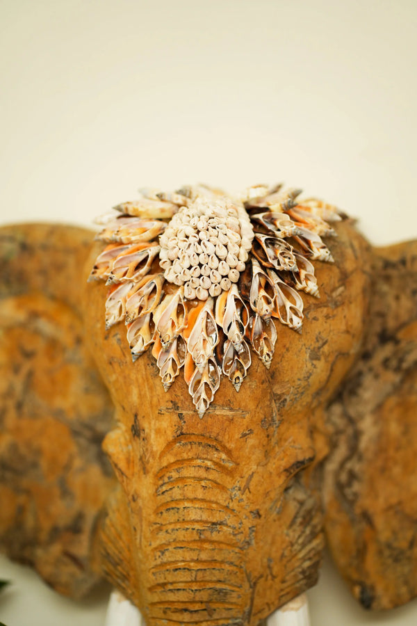 #NATURAL_GANESHA_SMALL_ECHO