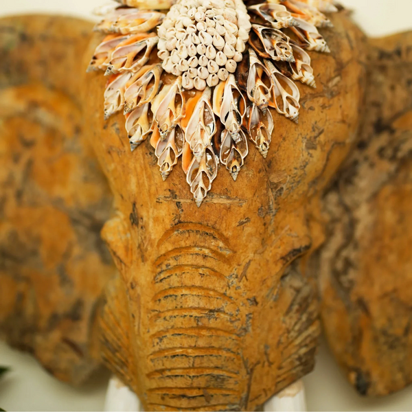 #NATURAL_GANESHA_SMALL_ECHO