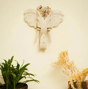 #WHITE_GANESHA_SMALL_ECHO