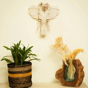 #WHITE_GANESHA_SMALL_ECHO