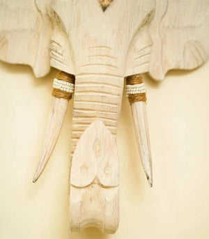 #WHITE_GANESHA_SMALL_ECHO