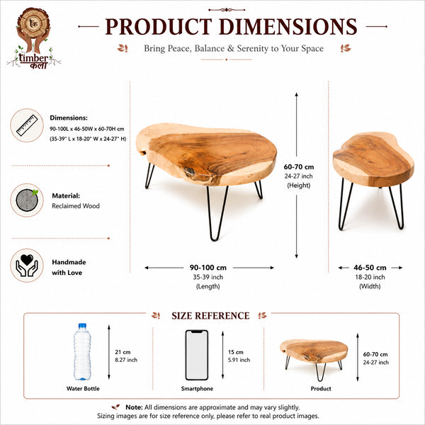 TIMBER KALA'S TRUNK TABLE FOR DECOR