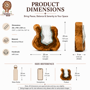 TIMBER KALA'S SMALL VALLEY CURVE GLASS ROOTS FOR DECOR