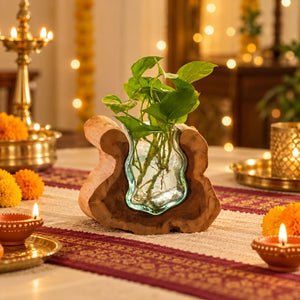 TIMBER KALA'S SMALL VALLEY CURVE GLASS ROOTS FOR DECOR
