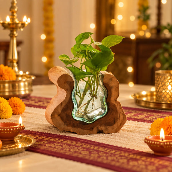 TIMBER KALA'S SMALL VALLEY CURVE GLASS ROOTS FOR DECOR