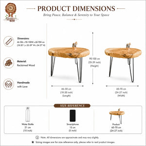 TIMBER KALA'S TRUNK TABLE FOR DECOR